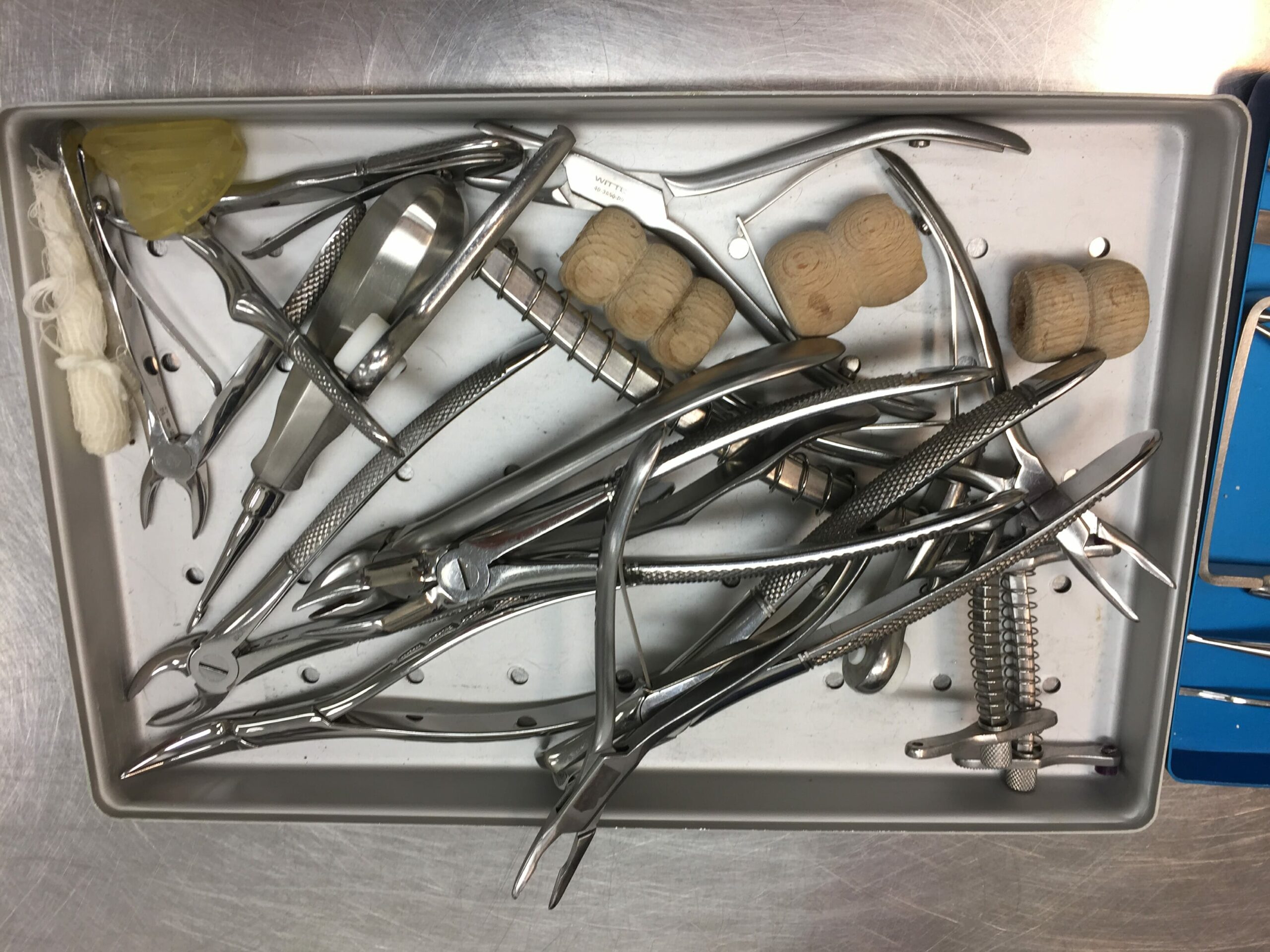 veterinary-instruments-after
